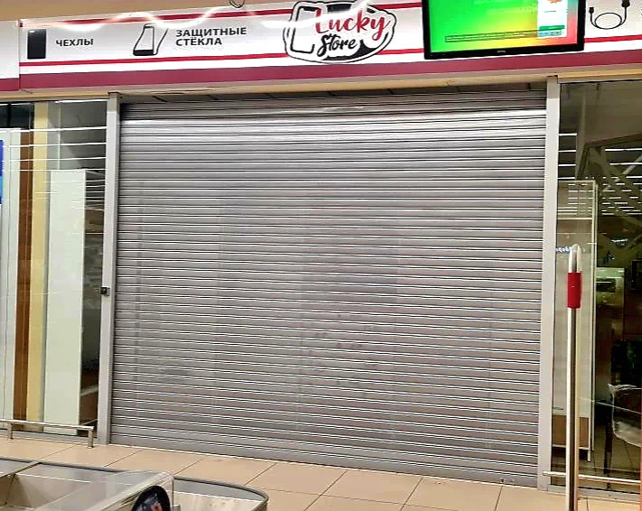Роллетные ворота DoorHan в Пензе с установкой