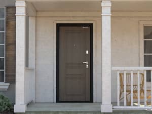 Купить железную входную дверь Премиум Плюс 890х2050 для частного дома в Пензе